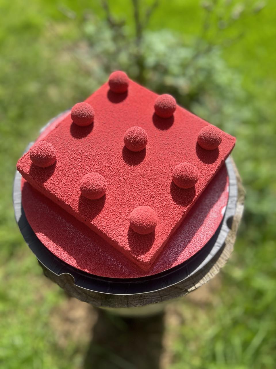 Cherry Entremet