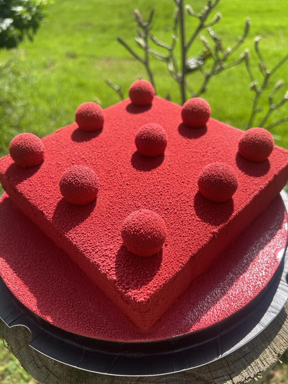 Cherry Entremet